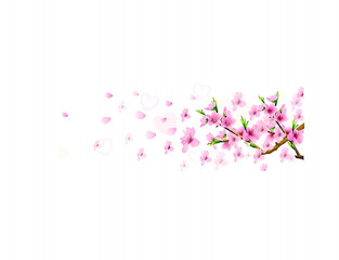 A pink floral background design with a beautiful border of blossoms