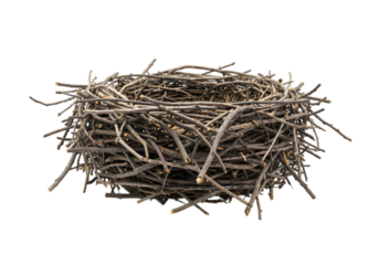 Empty Birds Nest
