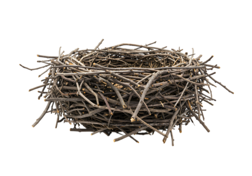 Empty Birds Nest