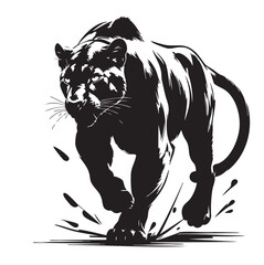 Obraz premium Dynamic black and white illustration of a powerful panther running forward with intense focus.