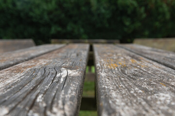 Close-up of weathered wooden table outdoors with lichen growth, shallow depth of field, symmetrical...
