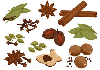An assortment of spices are scattered featuring cinnamon star anise cloves and nutmeg among others