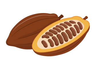 Two cacao pods one cut open to reveal beans in brown and yellow hues