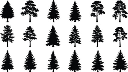 Pine tree silhouette set, fir tree vector, evergreen clipart, coniferous tree illustration, forest tree outlines, black tree icons