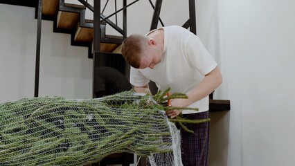 Man gently freeing tangled christmas tree netting, creating festive home setting with warmth and holiday anticipation