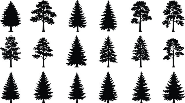 Pine tree silhouette set, fir tree vector, evergreen clipart, coniferous tree illustration, forest tree outlines, black tree icons