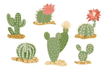 Hand drawn vector set of different flowering cactus plants with desert sand base and various shapes. Concept of desert flora, succulent variety and natural botanical decoration