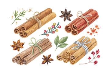 set of watercolor cinnamon stick vector illustration isolated on white background