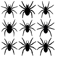 Set of nine black spider silhouettes in various positions for Halloween design