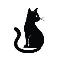 black cat on white background