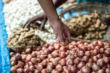 A man holds one of many onions in a market