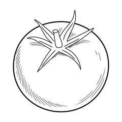 Hand drawn tomato outline  vector illustration ,tomato icon, Continuous one line tomato for grocery store, pro vector continuous line art drawing style. Ripe tomato fruit black linear sketch isolated,