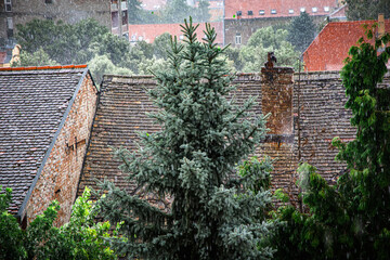 Heavy summer rainstorm hits Osijek