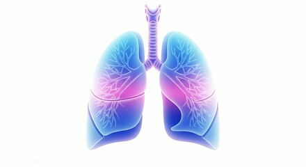 Digital Illustration of Human Lungs in Blue and Pink Colors Showing Respiratory System