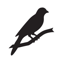 Silhouette of a bird perched on a tree branch