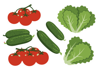 Tomatoes on the vine cucumbers and heads of lettuce are scattered on a white background