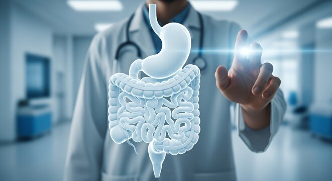 Medical Professional Using Interactive Digital Illustration of Human Digestive System in Hospital