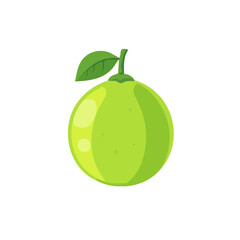 Minimalistic 2D flat icon featuring green lime, clean vector design, simple illustration style, isolated on a white background, modern element in vector and EPS format. simple design set