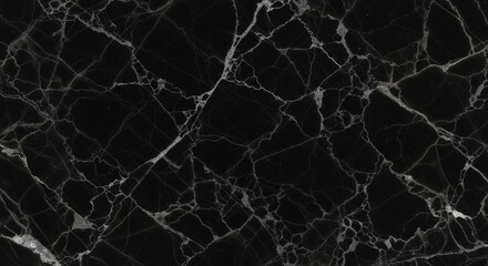 Close-up view of a polished black marble surface with intricate white veining patterns.