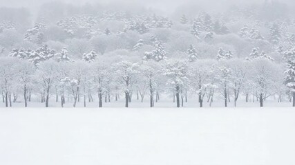 a snow covered forest with bare trees stands in a vast and serene winter landscape. - Powered by Adobe