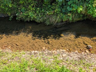 small river is here.