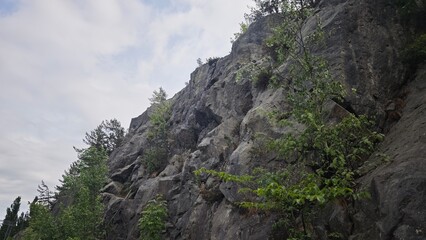 Rocky cliff face with green trees and plants growing between cracks under a cloudy sky