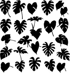 Collection of black silhouette botanical illustrations: leaves, buds, and sprigs.