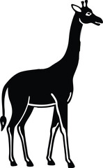 Fototapeta premium Minimalist standing giraffe with a long elegant shadow silhouette