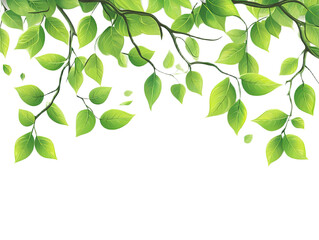 Obraz premium Green leaves on branches against a black background isolated on white background