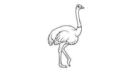 Fototapeta premium Tall Ostrich Vector Outline for African Safari & Bird Coloring Books