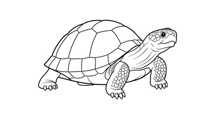 Fototapeta premium Slow Turtle Vector Outline for Pond Life & Reptile Coloring Books