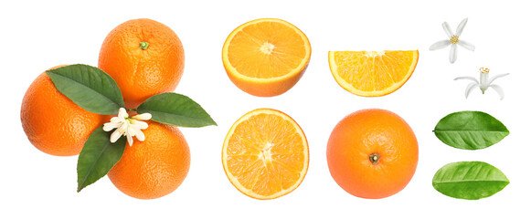 Fresh oranges, green leaves and blossoms isolated on white, set