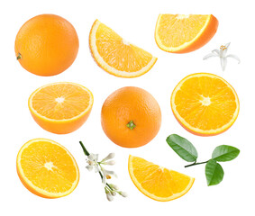 Fresh oranges, green leaves and blossoms isolated on white, set