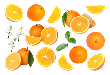 Fresh oranges, green leaves and blossoms isolated on white, set