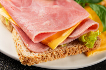 Sandwich ham, cheese, bread toast meat spam fresh delicious gourmet food background on the table rustic food top view copy space