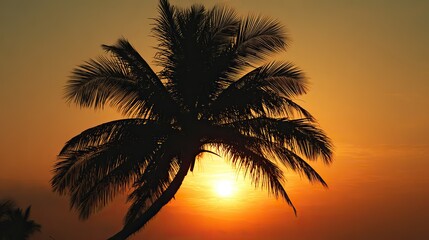 Obraz premium A silhouette of a palm tree against an orange sunset sky, creating an atmospheric and romantic scene with warm hues and natural beauty.