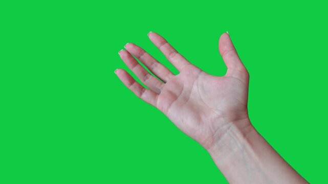 Woman's hand showing What The Hell Are You Talking About sign. Female hand gesture on chroma key green screen background. Girl's hand guesture: nonsense, not serious, You're kidding, no way, wtf