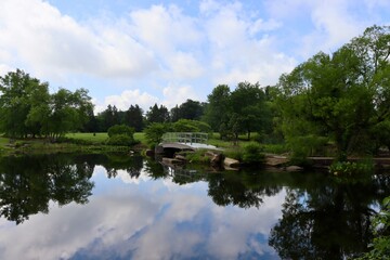 The wood footbridge in the park on a sunny day.