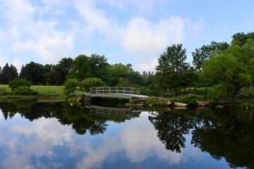 Obraz premium The wood bridge in the park on a sunny day.