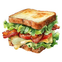 BLT in watercolor style, vector illustration, isolated on white background.