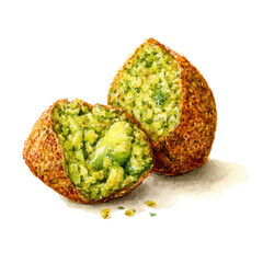 A watercolor painting of Falafel, vector illustration on white background.