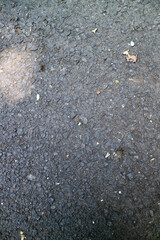 Textured Asphalt Surface with Debris