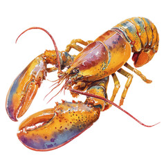 Lobster Thermidor in watercolor style, vector illustration, isolated on white background.