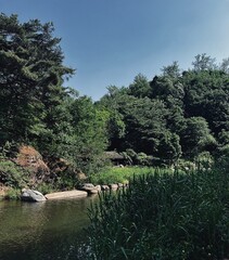 Obraz premium river in the park