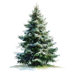 Christmas Tree in watercolor style, vector illustration, isolated on white background.