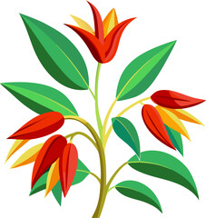 Parrot’s Beak flowers