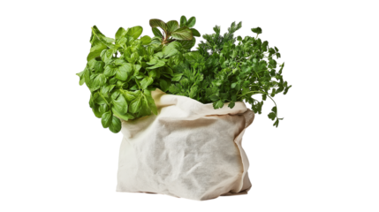 A white bag with a bunch of herbs and greens inside
