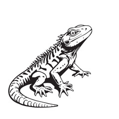 Obraz premium Lizard vector design concept black and white illustration.