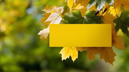 backgroudn banner with area to put text