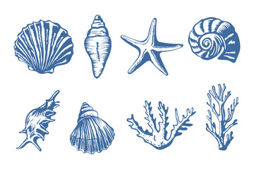 Sea life doodle hand drawn isolated background.